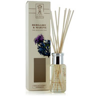 Earth Secrets - Reed Diffuser - Bergamot & Marine