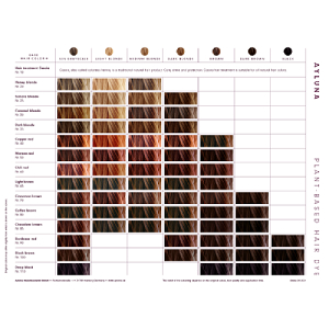 Plant Based Hair Dye - Honey Blonde