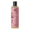 Soft Wild Rose Colour Preserve Shampoo